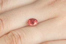 画像をギャラリービューアに読み込む, 1.43ct Loose Natural Oval Shape Tourmaline