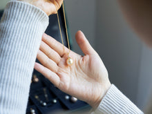 Load image into Gallery viewer, Pale Gracious- Golden mimosa