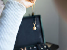 Load image into Gallery viewer, Pale Gracious- Golden mimosa