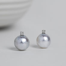 Load image into Gallery viewer, Pale Gracious- Icy melody 18K white gold