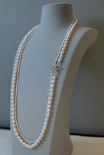 Load image into Gallery viewer, Elegant Dew- Fascination spark