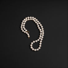 Load image into Gallery viewer, Elegant Dew- Pale Aura