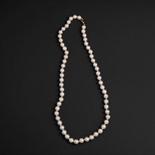 Load image into Gallery viewer, Elegant Dew- Pale Aura