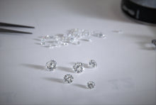 Load image into Gallery viewer, Identification Services