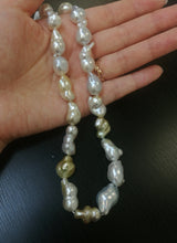 Load image into Gallery viewer, Pale Gracious- Evening star