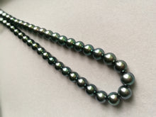 将图片加载到图库查看器,Tahitian Wonderland-Charming Peacock