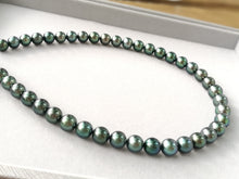 将图片加载到图库查看器,Tahitian Wonderland-Charming Peacock