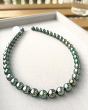 将图片加载到图库查看器,Tahitian Wonderland-Charming Peacock