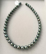 将图片加载到图库查看器,Tahitian Wonderland-Charming Peacock