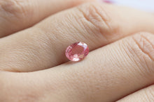 将图片加载到图库查看器，1.30ct Loose oval Padparadscha Sapphire
