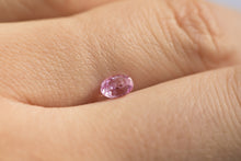 Загрузить изображение в средство просмотра галереи, .55ct Loose Natural Oval Pink Sapphire
